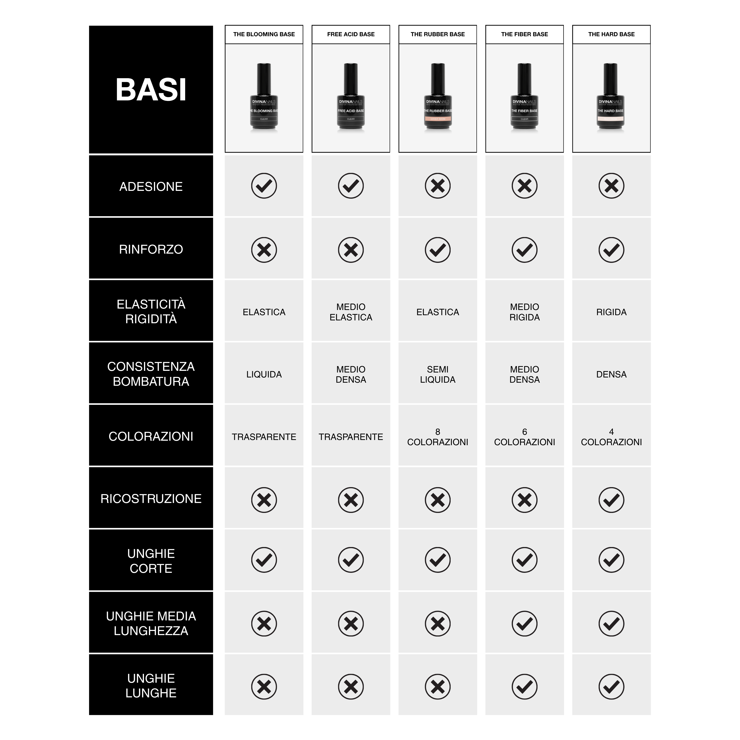 Guida alle Basi (Infografica)